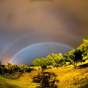 Double Moonbow