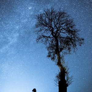 Joy of a Starry Night