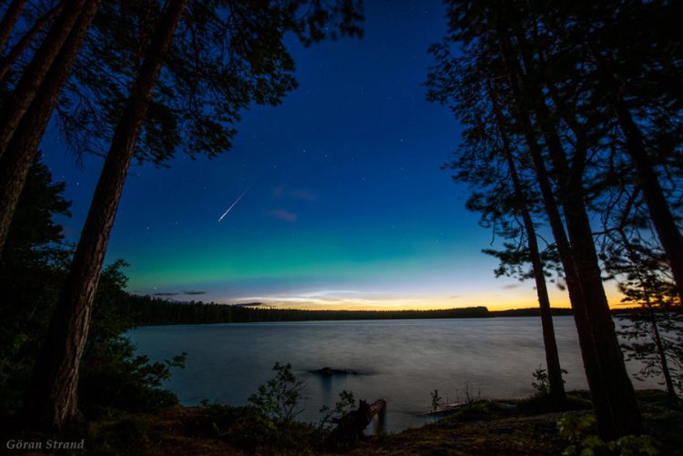 Perseid, Northern Lights and Noctilucent Clouds