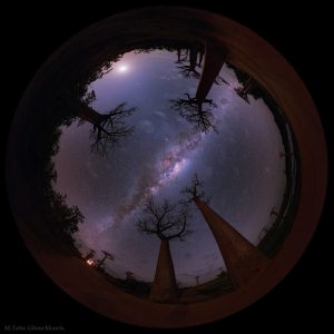 The Little Prince Planet