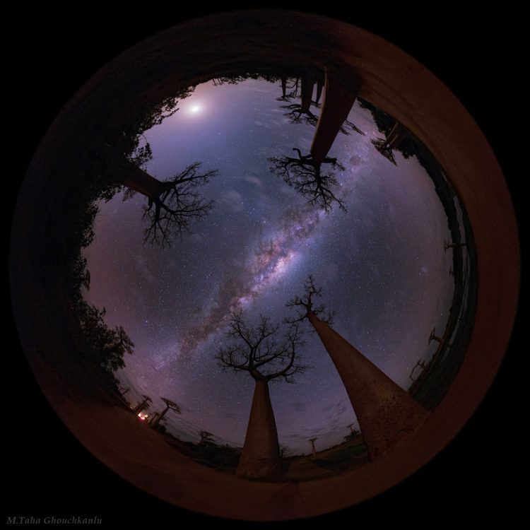 The Little Prince Planet