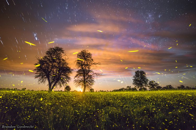 Brushstrokes of Light