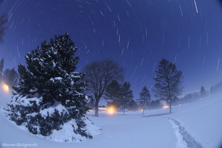 The Beauty After the Blizzard