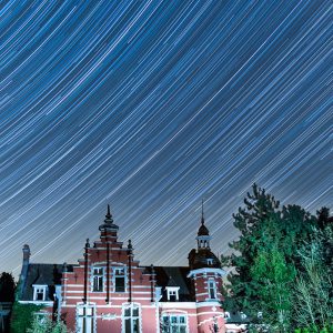 Chateau Bambi by Night