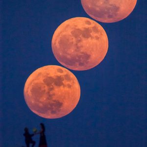 Proposal under Supermoon