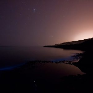 Jupiter and Sea Sparkle