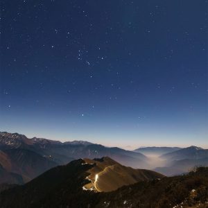 Winter Stars