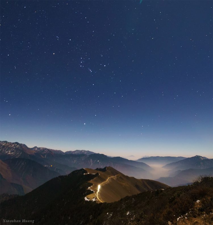 Winter Stars