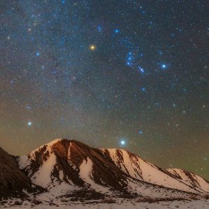 Bright Winter Stars