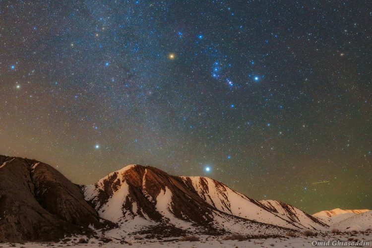 Bright Winter Stars