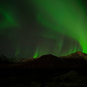 Thanksgiving Aurora