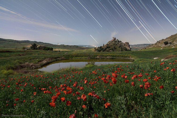 Moon Light Star Trail (photo composite)