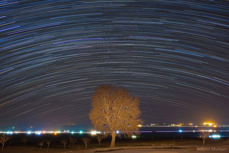Moving Stars Over a Single Tree