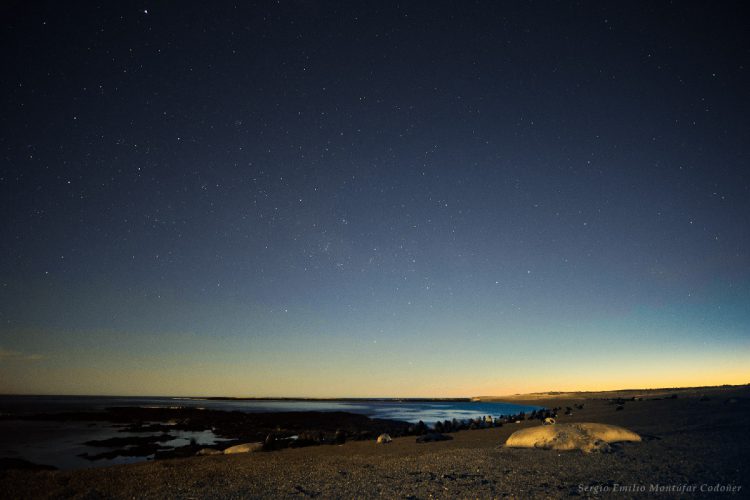 Southern Sky over a Naturally Preserved Site