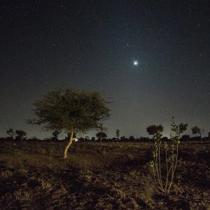 Venus, Mars and Zodiacal Lights