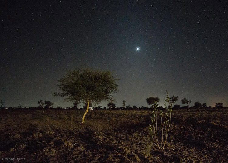 Venus, Mars and Zodiacal Lights