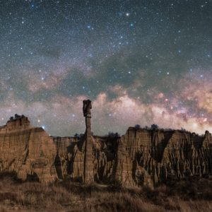 Soil Forest under Milky Way (composite)