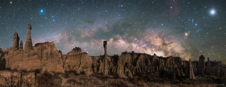 Soil Forest under Milky Way (composite)