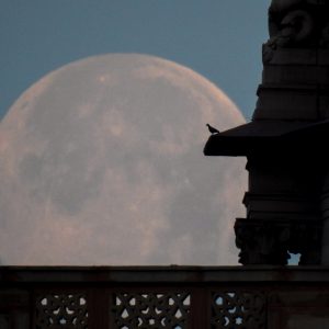 Full Moon Sets Over Delhi
