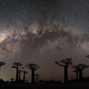 Malagasy Milky Way