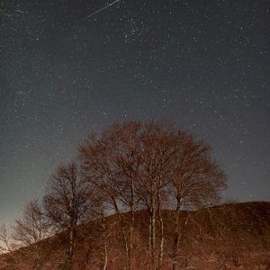 Colorful Meteor Next to the 46P/Wirtanen