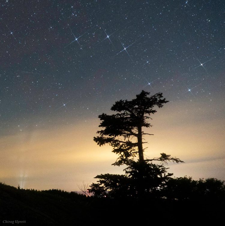 Big Dipper Meets Lone Conifer