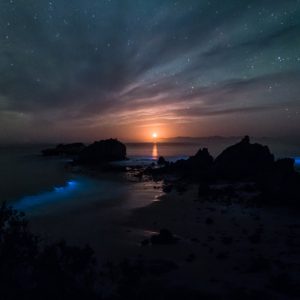 Moonrise from Bird Rock