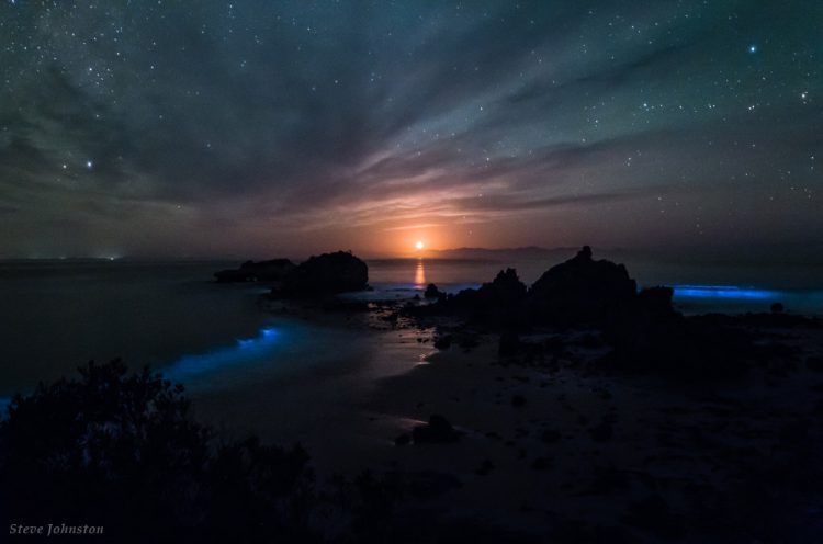 Moonrise from Bird Rock