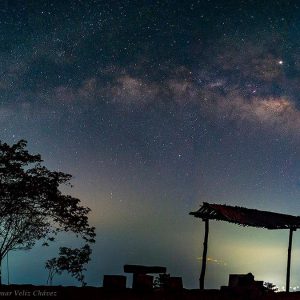 The Tree of Life Next to the Milky Way