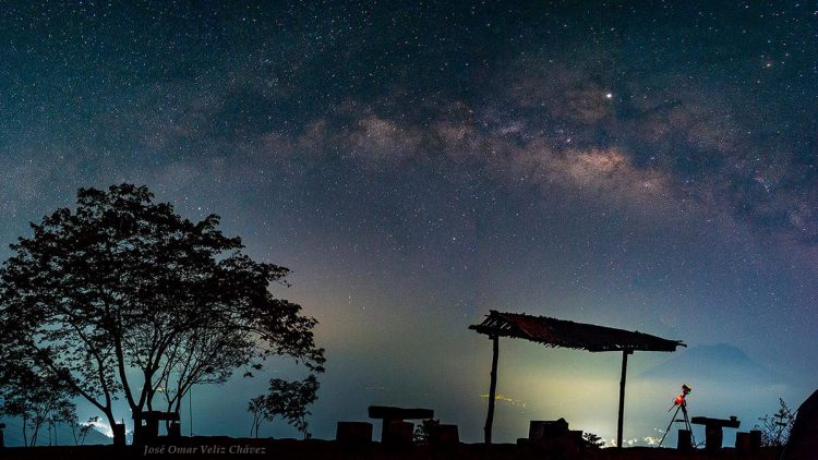 The Tree of Life Next to the Milky Way