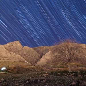 Startrail of Winter Jewels (Composite)