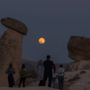 Partial Lunar Eclipse