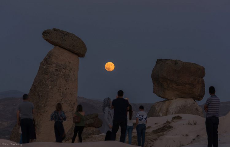 Partial Lunar Eclipse