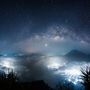 Pure Nature at Night