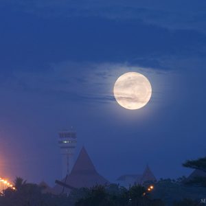 The Hunter`s Supermoon