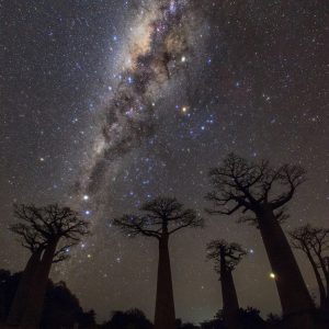 Starry Sky of Madagascar