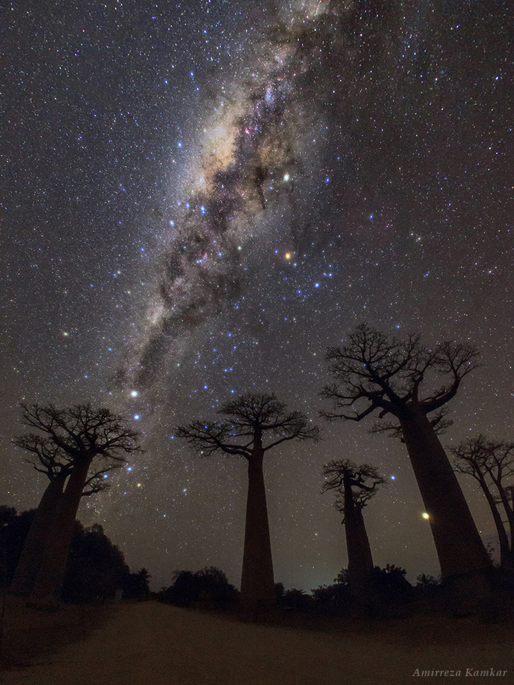 Starry Sky of Madagascar