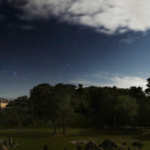 Tikal Under the Moonlight