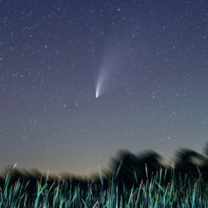 The Great Comet of 2020