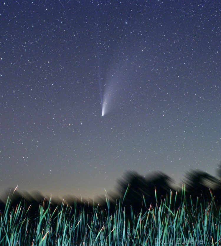 The Great Comet of 2020