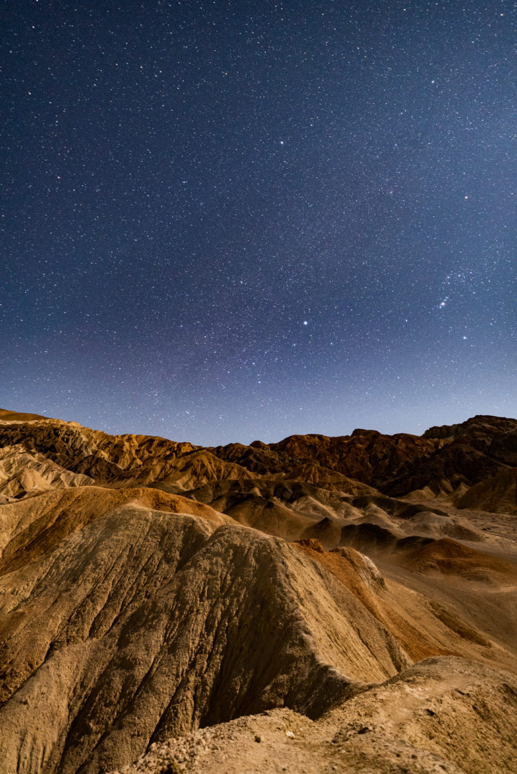 Amargosa in Moonlight