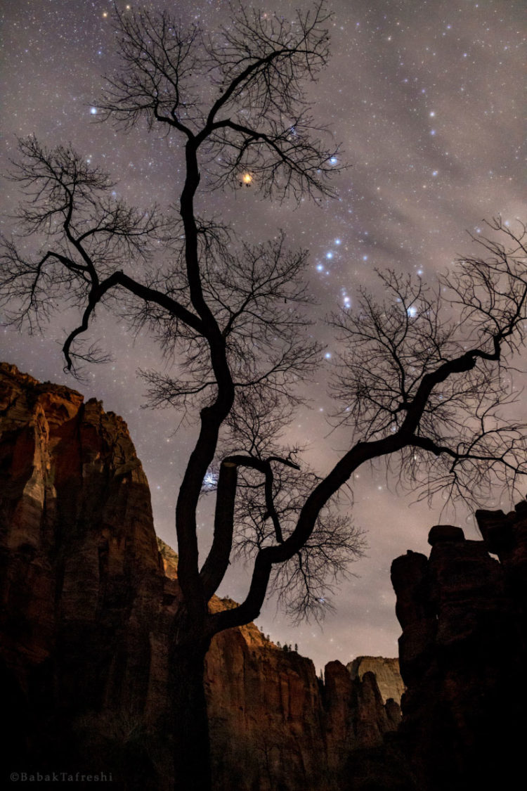Orion in Zion