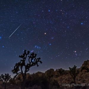 Geminid Meteor Shower in Joshua Tree National Park