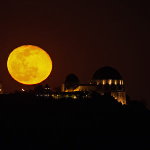 Griffith Orange Moon