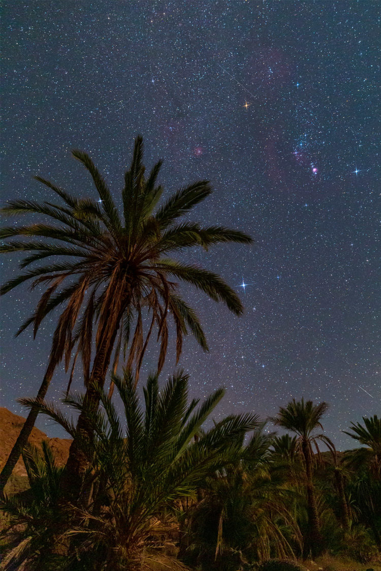 Orion Over Oasis