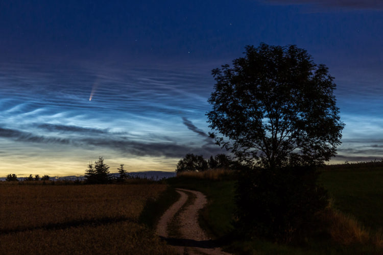 Comet Neowise and Noctilucent Clouds