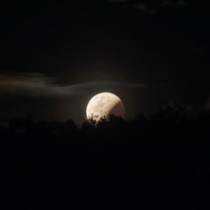 Lunar Eclipse in Timor-Leste