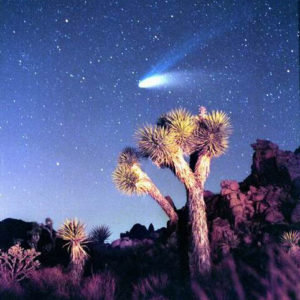 Comet visits Joshua Tree