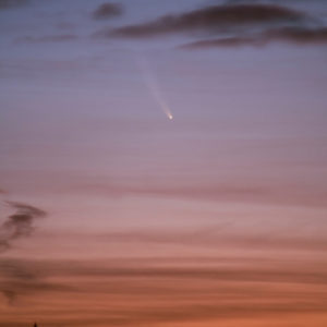 McNaught over Sweden