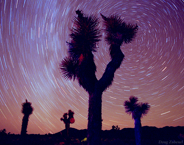 Joshua Trees and Red Airglow